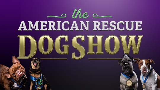 Hallmark american store rescue dog show