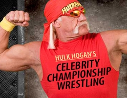 Hulk hogan's discount celebrity championship wrestling