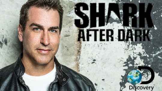 Shark After Dark