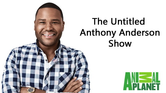 Untitled Anthony Anderson Show