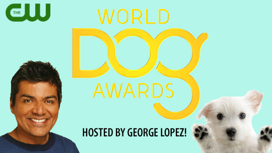 World Dog Awards